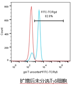 γδT细胞.png